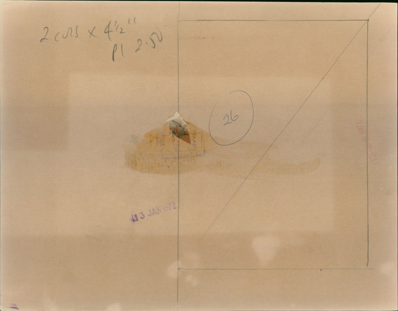 Mia Farrow - Vintage Photograph