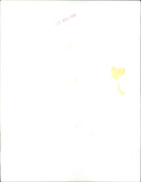 Denholm Elliott - Vintage Photograph