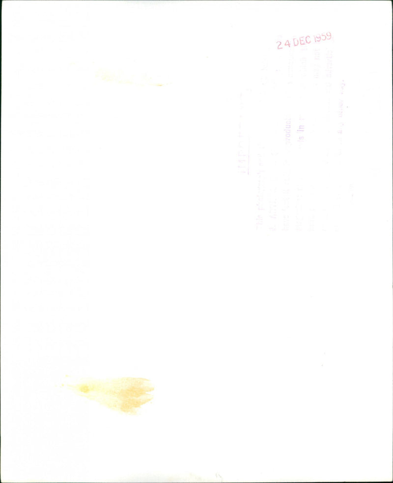 Margot Fonteyn - Vintage Photograph