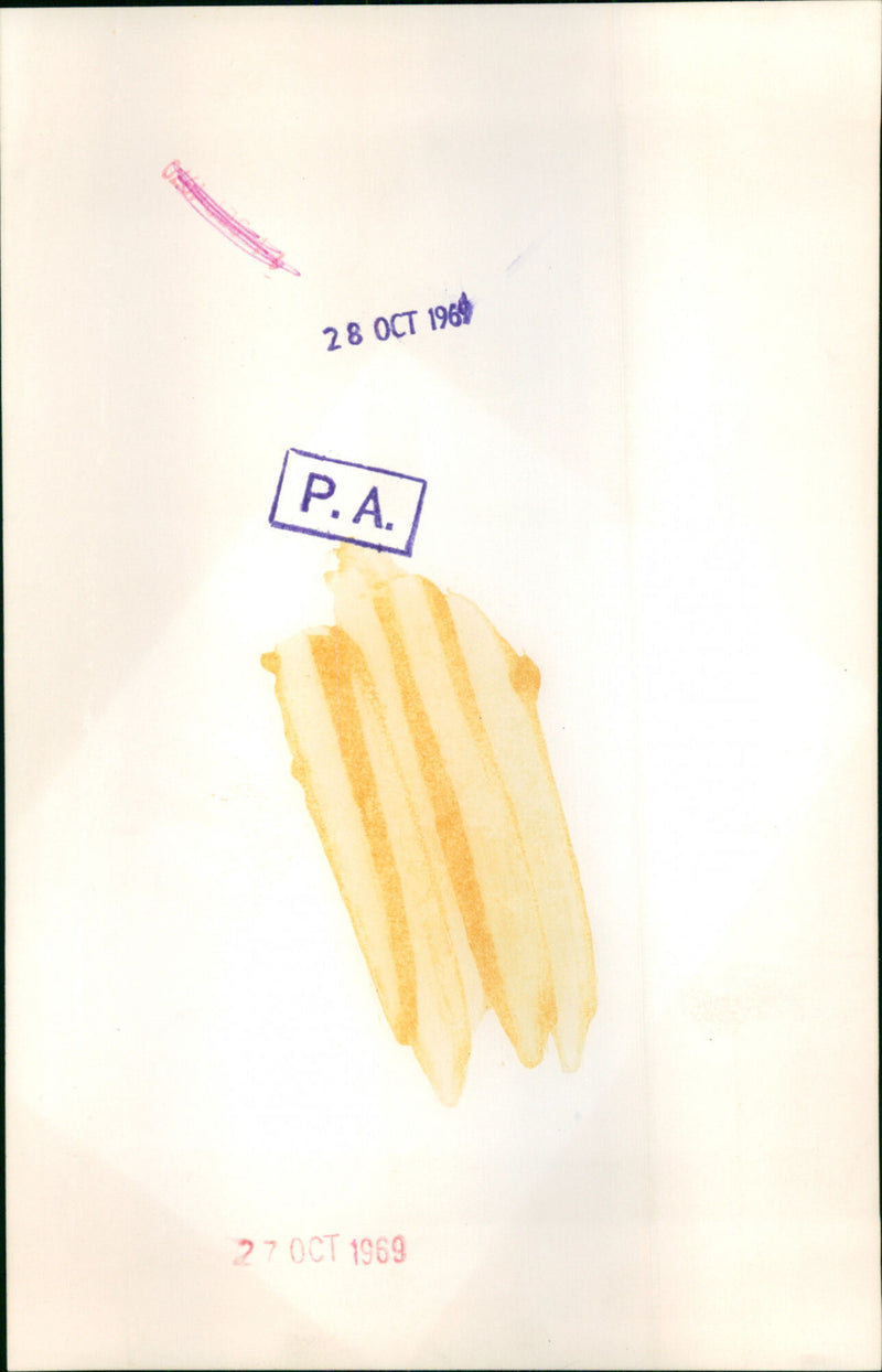 Mia Farrow - Vintage Photograph