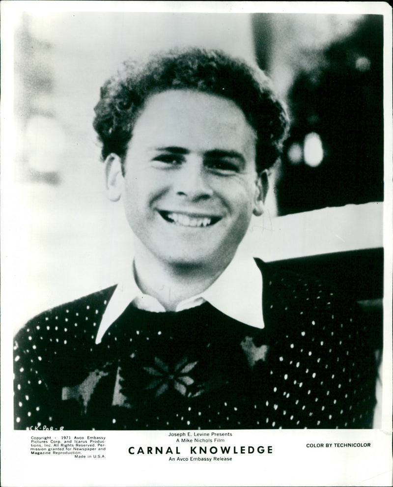 Arthur Garfunkel - Vintage Photograph