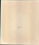 Queen Elizabeth II - Vintage Photograph