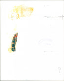 Queen Elizabeth II - Vintage Photograph