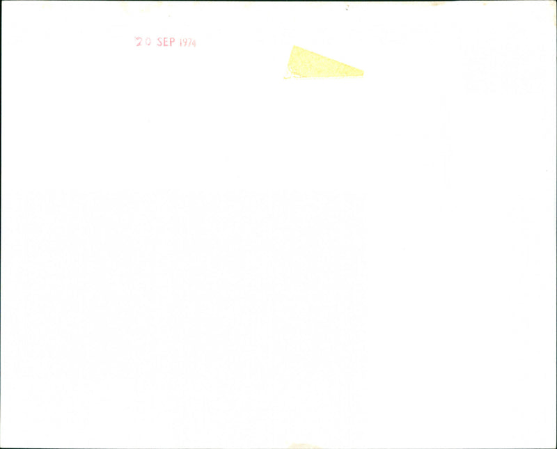 Lynn Farleigh - Vintage Photograph