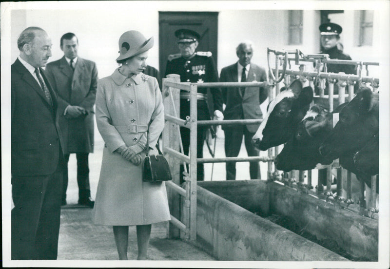 Queen Elizabeth II - Vintage Photograph