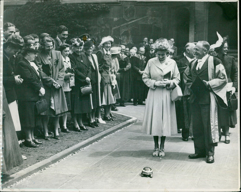 Queen Elizabeth II - Vintage Photograph