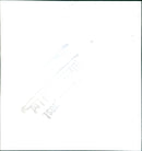 Queen Elizabeth II - Vintage Photograph