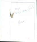 Balloon - Vintage Photograph