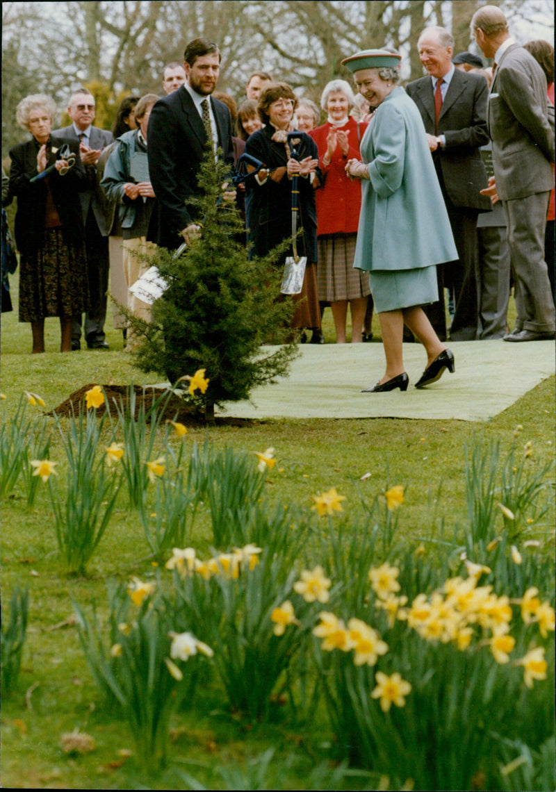 Queen Elizabeth II - Vintage Photograph