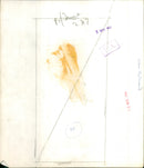 Queen Elizabeth II - Vintage Photograph