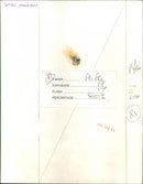 Tetsu Yamauchi - Vintage Photograph