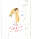 Ella Fitzgerald - Vintage Photograph