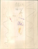 Queen Elizabeth II - Vintage Photograph