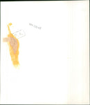 Queen Elizabeth II - Vintage Photograph