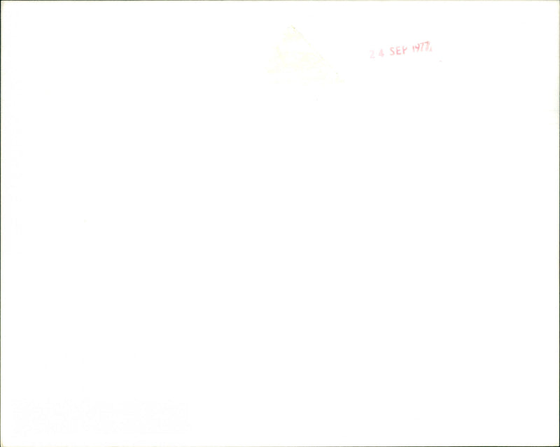 William Franklyn - Vintage Photograph