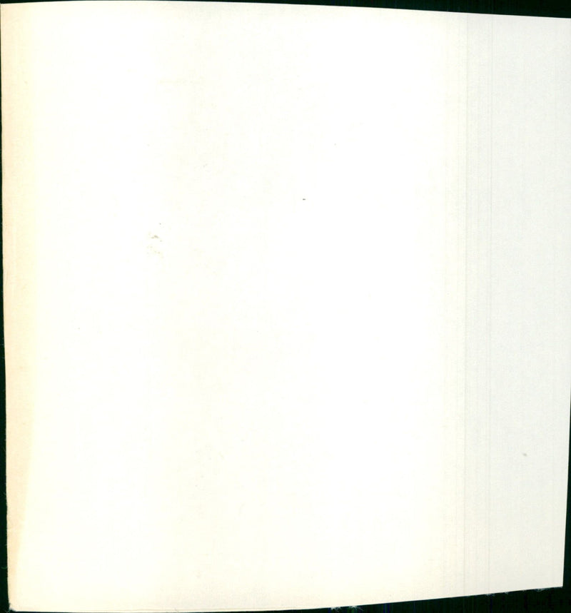 Ellis Tony - Vintage Photograph