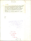 Queen Elizabeth II - Vintage Photograph