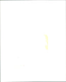 Queen Elizabeth II - Vintage Photograph