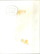 William Franklyn - Vintage Photograph