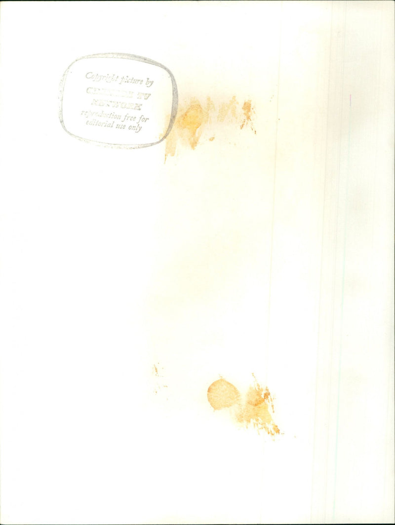 William Franklyn - Vintage Photograph