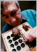 David Endacott - Vintage Photograph