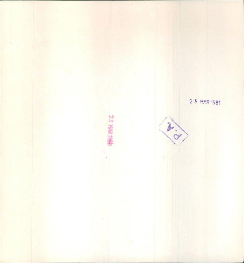 David and Elizabeth Emmanuel designs - Vintage Photograph