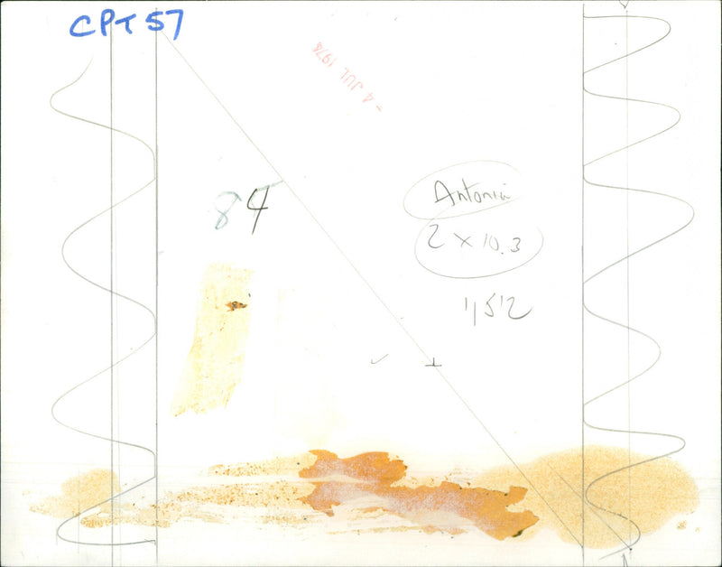 Antonia Fraser - Vintage Photograph