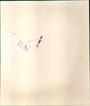 David, Wife Elizabeth and Emmanuel the young mayfair designers - Vintage Photograph