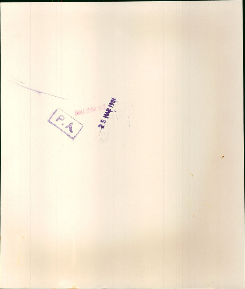 David, Wife Elizabeth and Emmanuel the young mayfair designers - Vintage Photograph