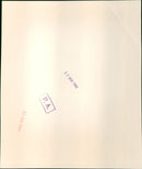 Antonia Fraser - Vintage Photograph