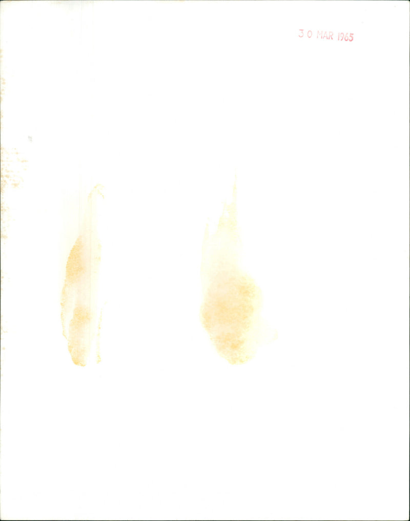 Bill Fraser - Vintage Photograph