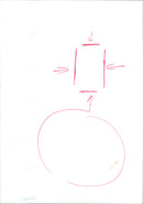 Dr. Caroline Fraser - Vintage Photograph