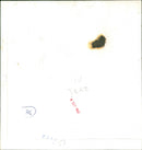 The Royal Family - Vintage Photograph