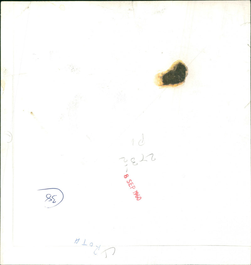 The Royal Family - Vintage Photograph