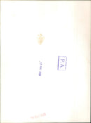 Mr. Harold Wilson - Vintage Photograph