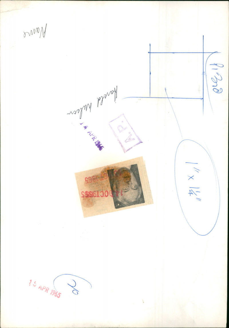 Mr. Harold Wilson - Vintage Photograph