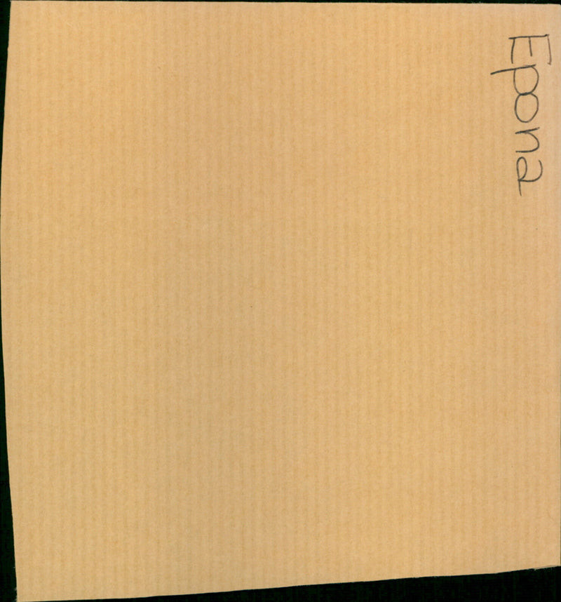 Mary Evelyn - Vintage Photograph