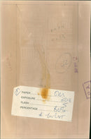 Geoff Capes - Vintage Photograph