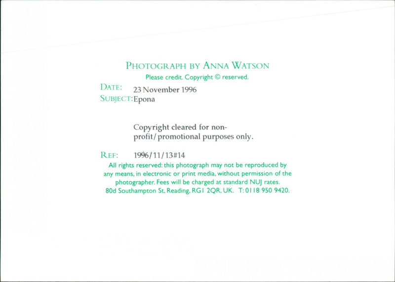 Epona - Vintage Photograph