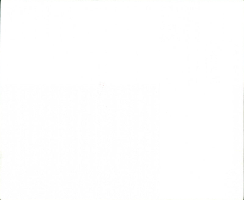 The Everly Brothers - Vintage Photograph