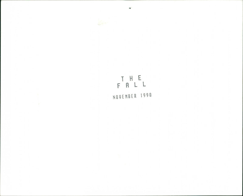 The Fall - Vintage Photograph