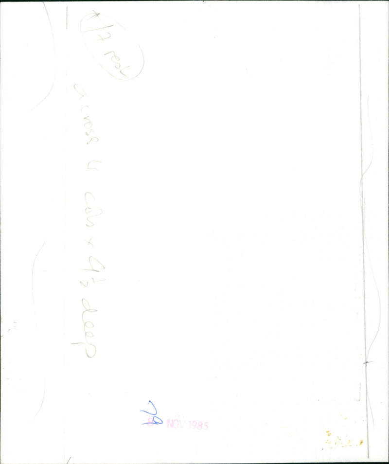 David Ellis - Vintage Photograph