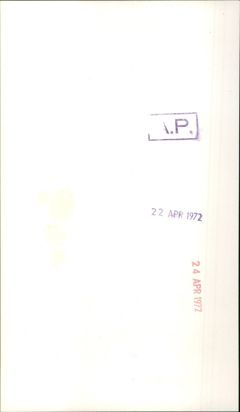 Sylvia Cock - Vintage Photograph