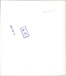 Marianne Faithfull - Vintage Photograph