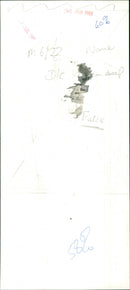 Falck - Vintage Photograph