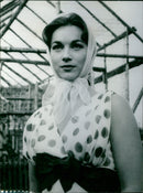 Shirley Anne Field - Vintage Photograph