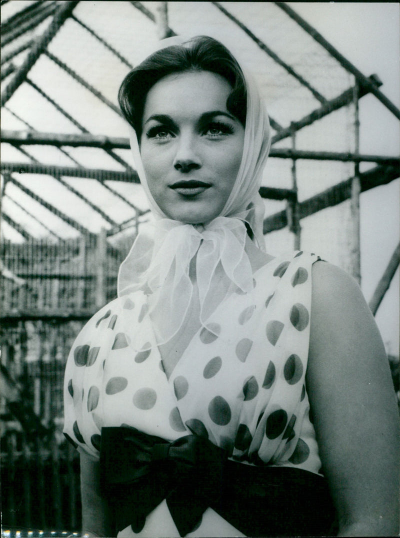 Shirley Anne Field - Vintage Photograph