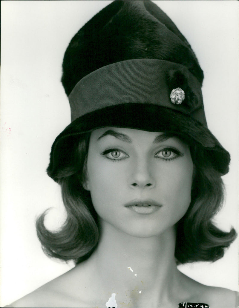 Shirley Anne Field - Vintage Photograph
