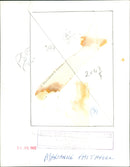 Marianne Faithfull - Vintage Photograph