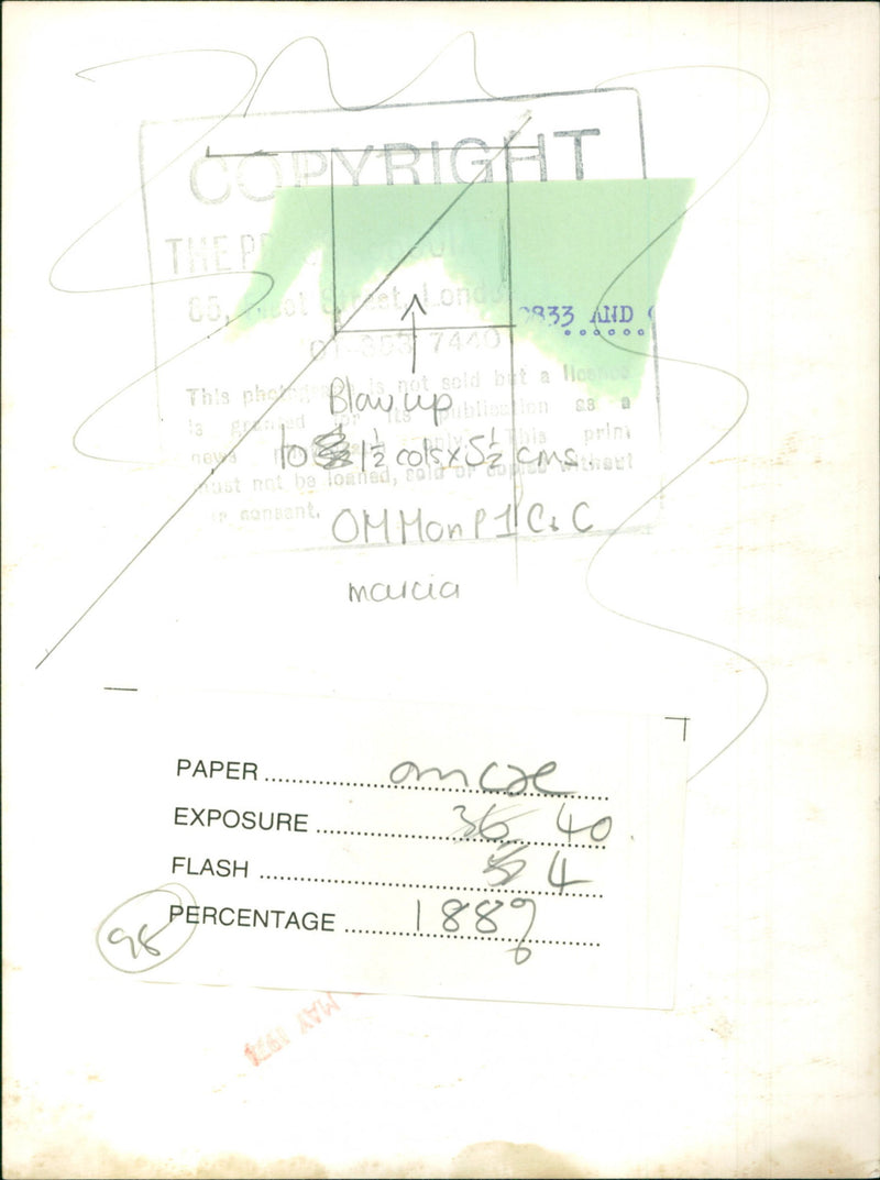 Marcia Falkender - Vintage Photograph